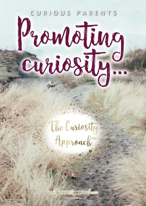 The Curiosity Approach | Natural Learning Childcare